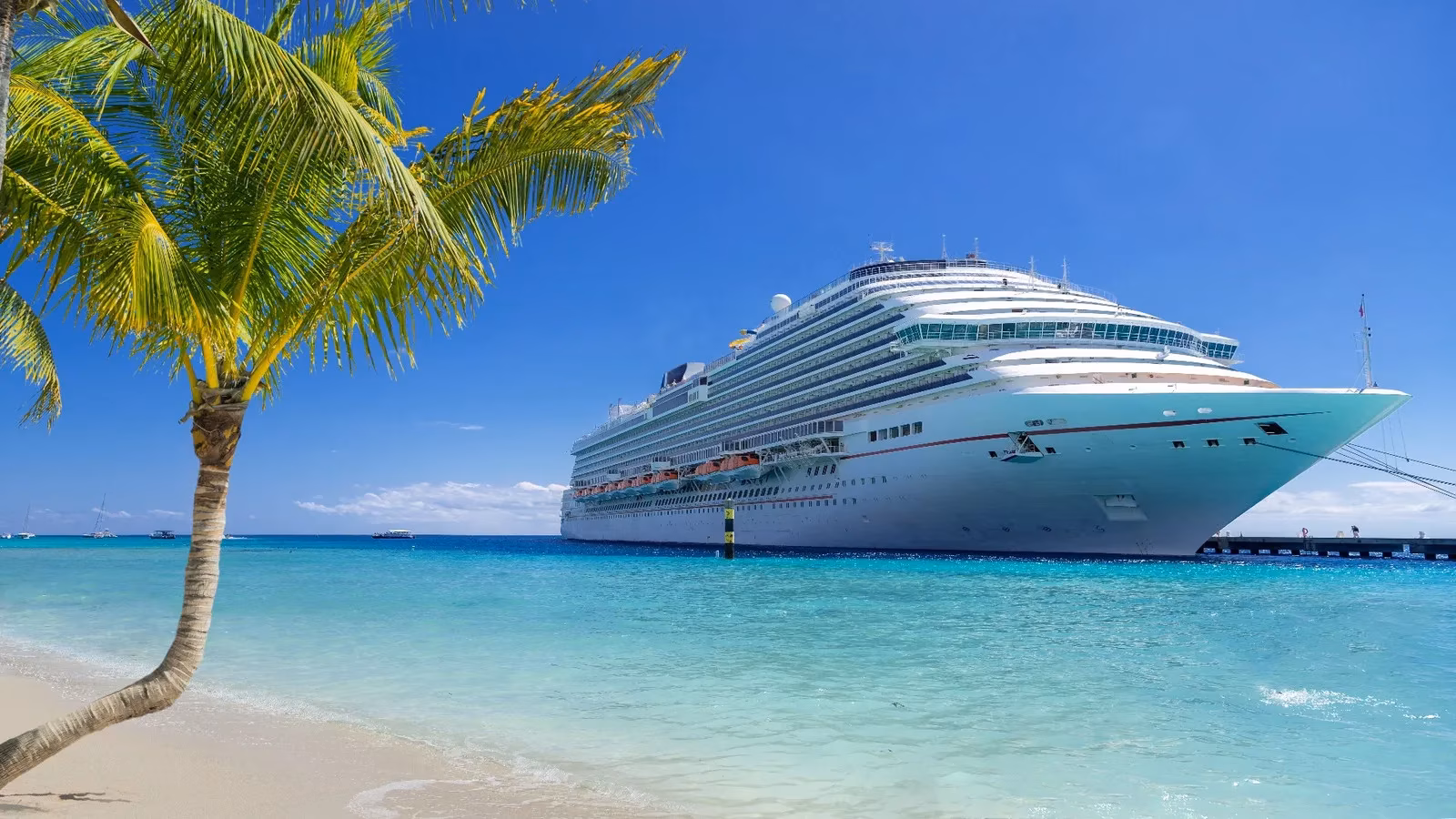2026-family-cruises-so-cheap-even-my-suitcase-did-a-double-take-image-0