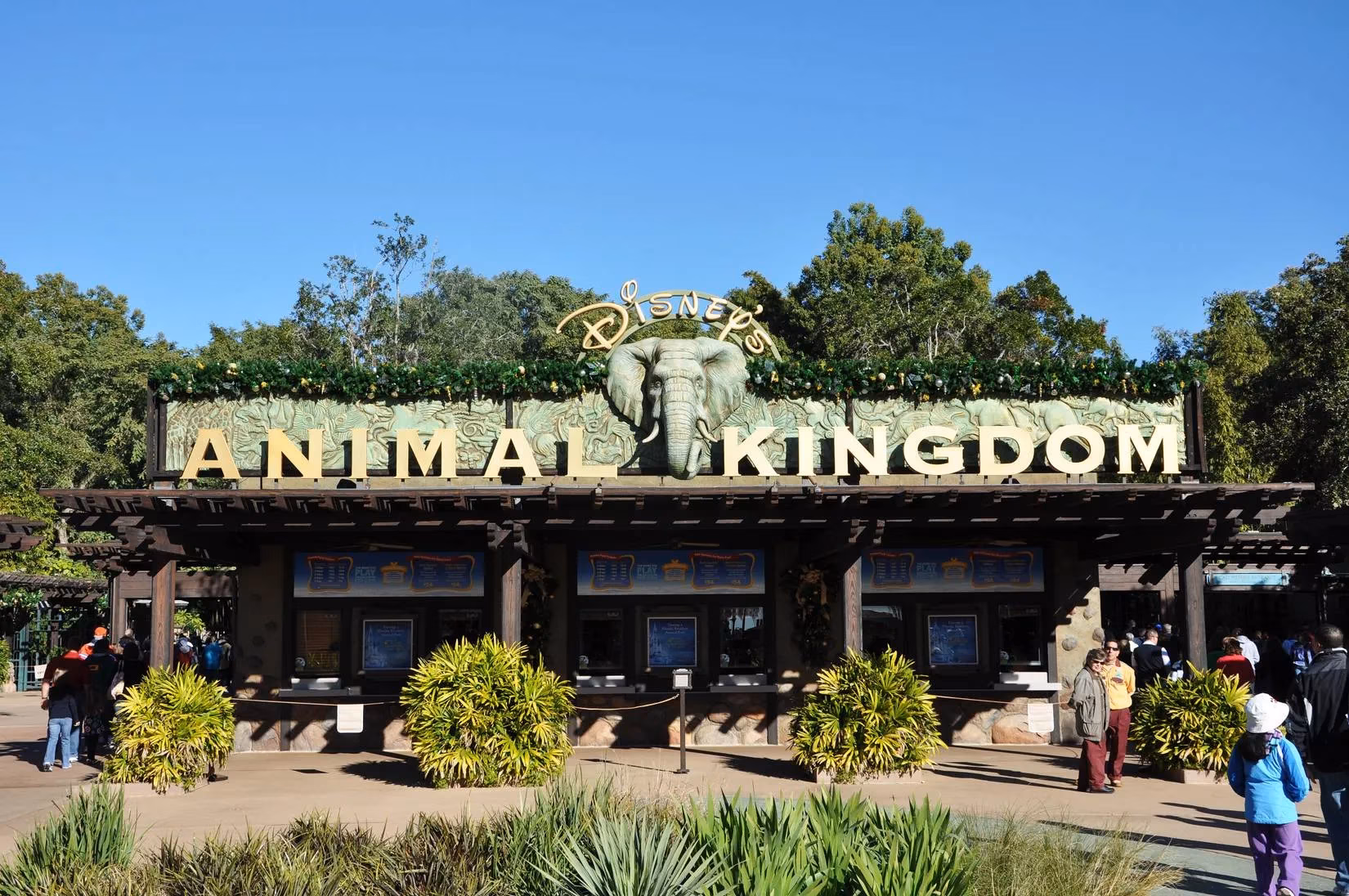beyond-the-rides-discovering-the-soul-of-disney-world-in-2026-image-0