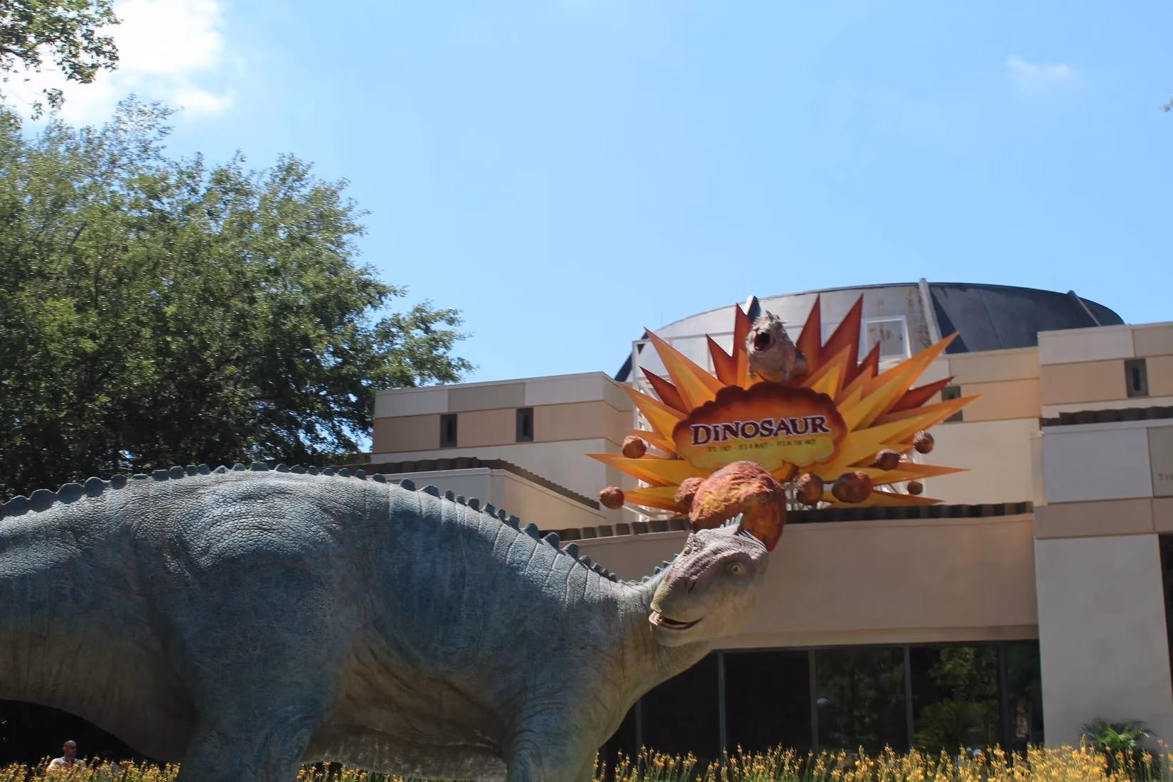 disney-world-s-2026-evolution-saying-goodbye-to-classics-and-hello-to-new-magic-image-0