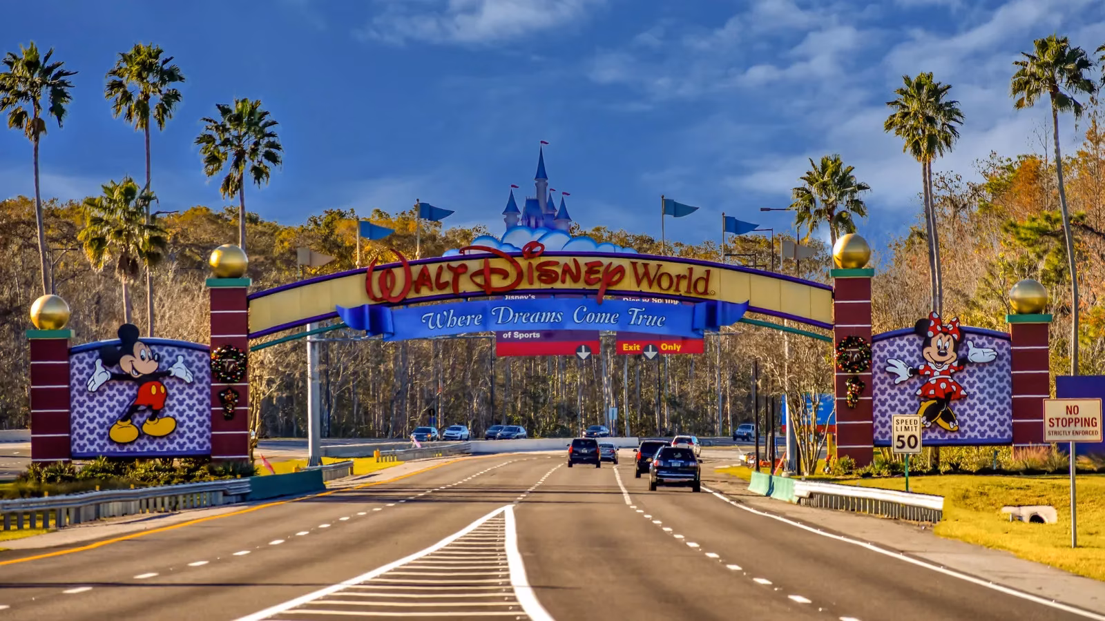 my-experience-with-disney-world-s-remarkable-recovery-after-hurricane-milton-image-0